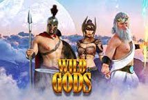 Wild Gods Slot Review